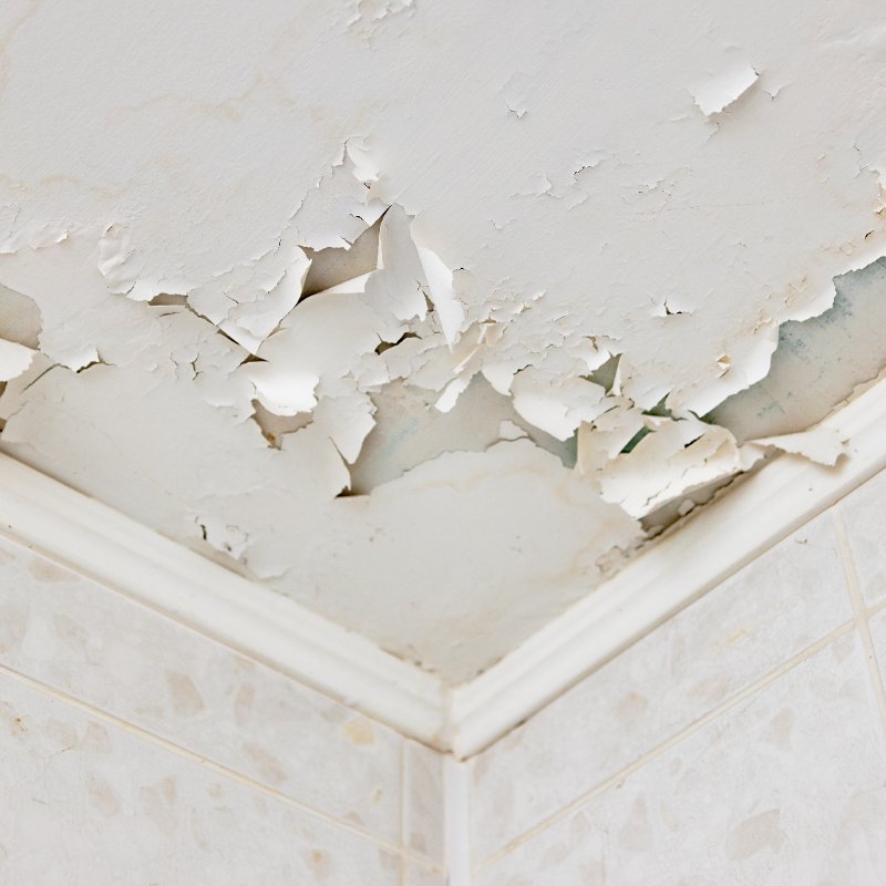 water-damaged ceiling due to a leak