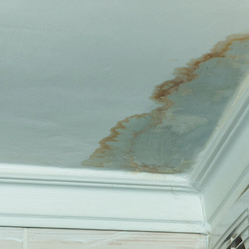 brown water spot on the ceiling