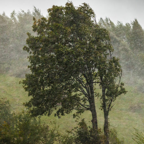 strong winds and rain